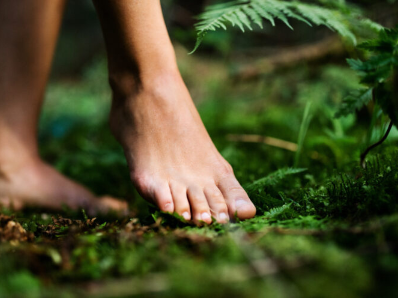 Bare feet walking on soft forest ground, symbolising grounding and connection to the earth