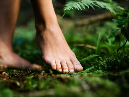 Bare feet walking on soft forest ground, symbolising grounding and connection to the earth