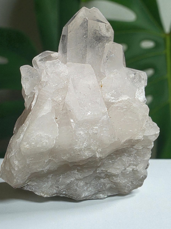 natural apophyllite cluster filled with radiant clarity, shimmering terminations
