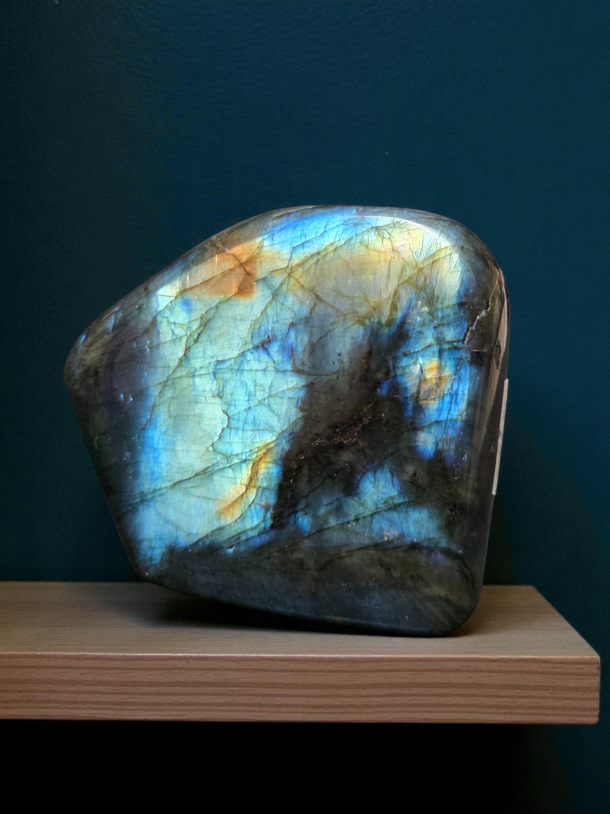 Polished Labradorite slab with bright blue and gold flash, showing iridescent labradorescence against a light background