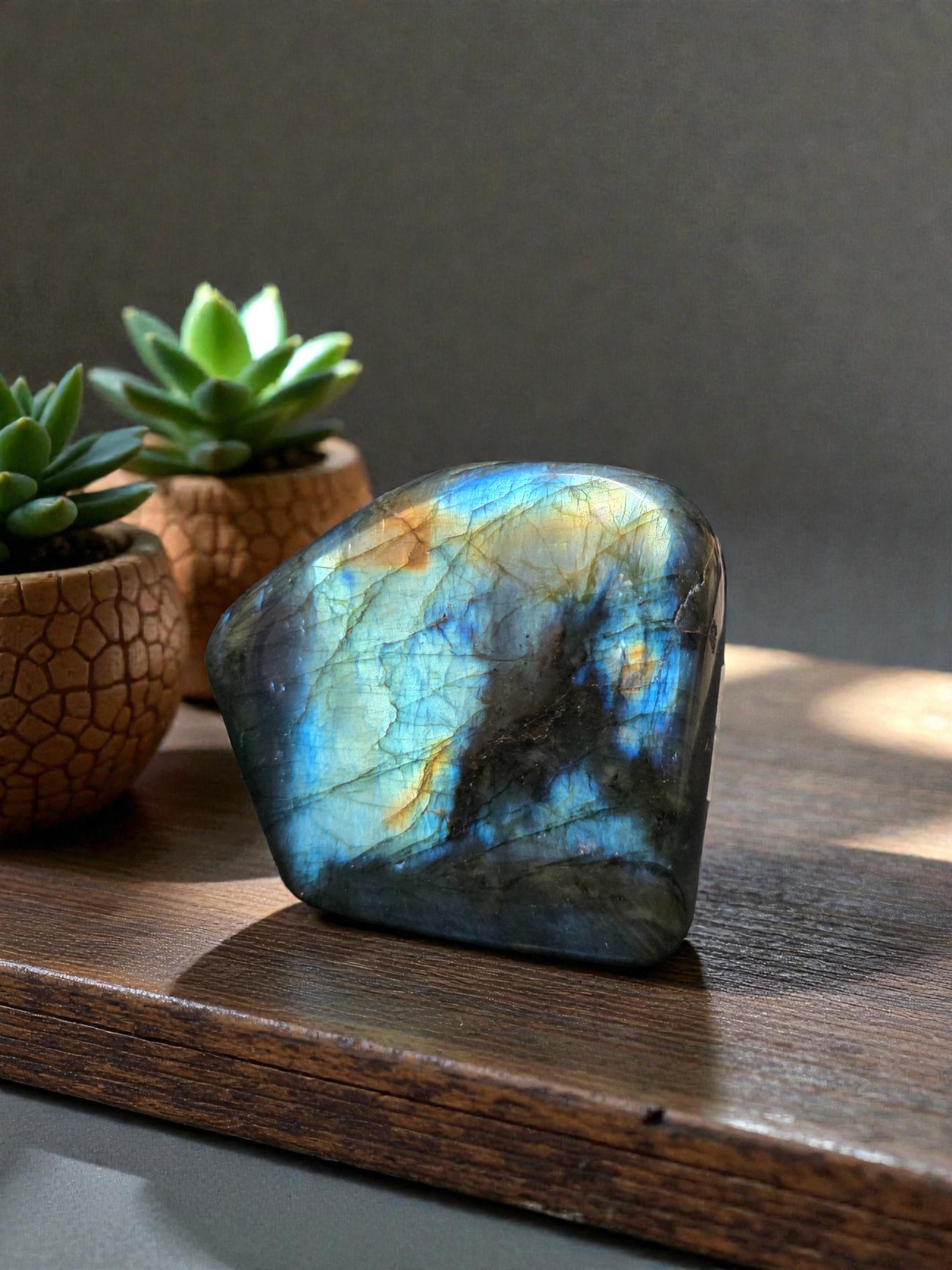 Polished Labradorite slab with bright blue and gold flash, showing iridescent labradorescence against a light background
