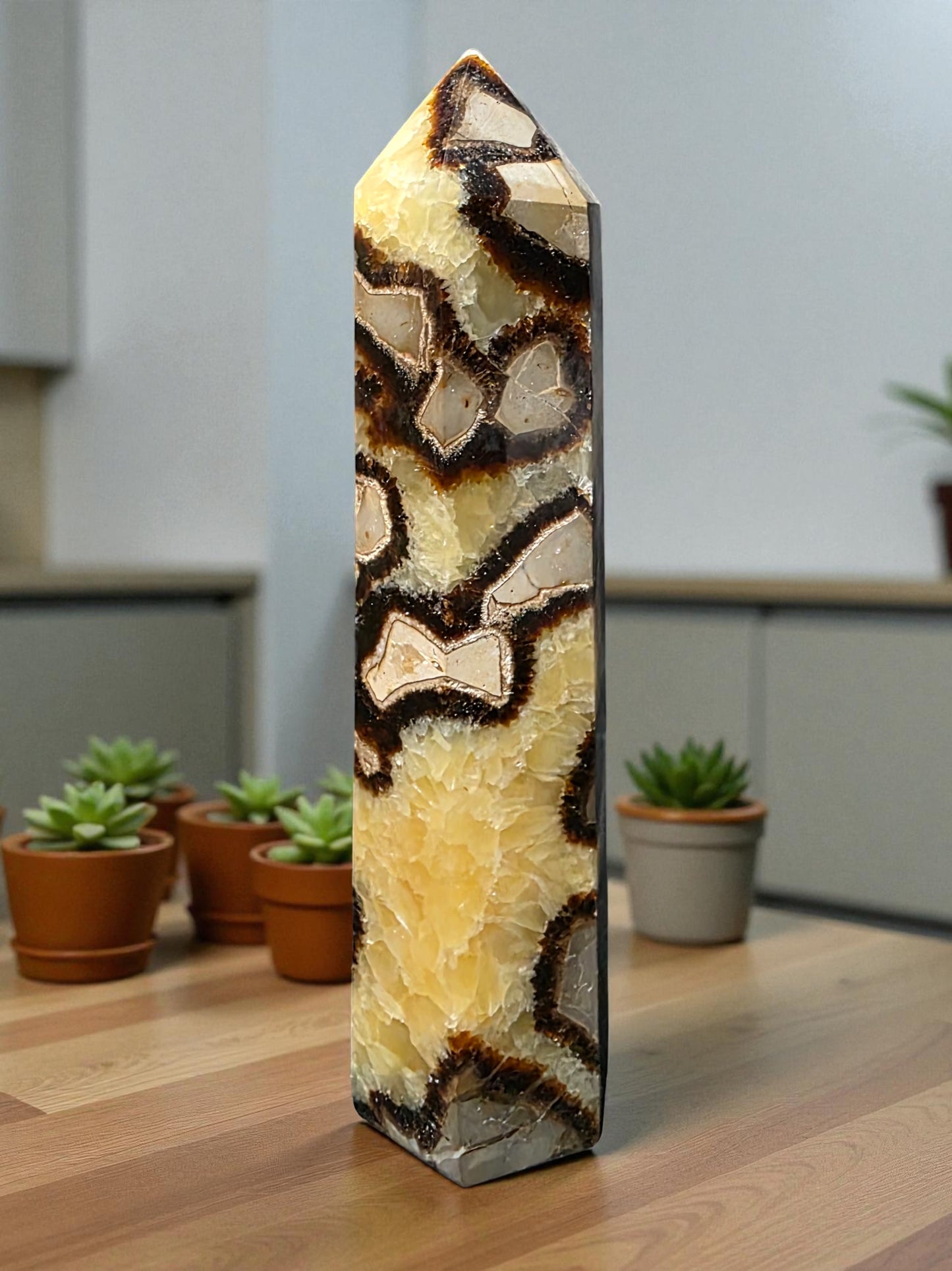 Septarian Tower | Dragon Stone | Natural Septarian Point