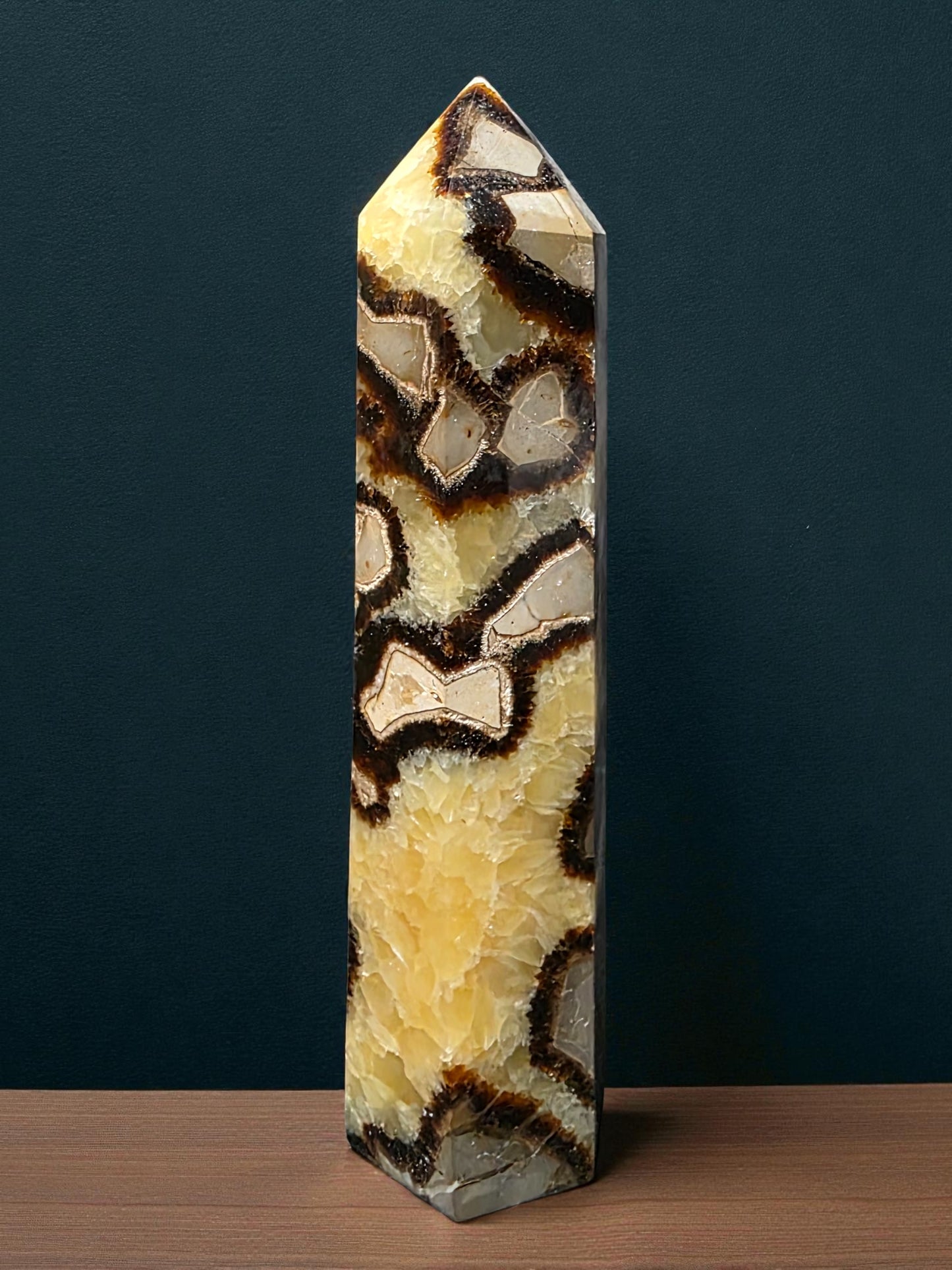 Septarian Tower | Dragon Stone | Natural Septarian Point